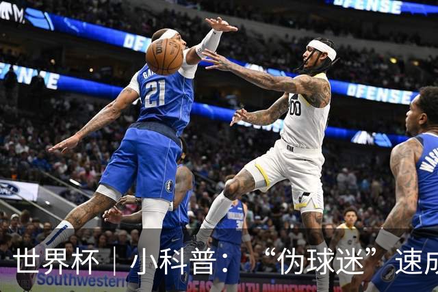 世界杯｜小科普：“伪球迷”速成手册